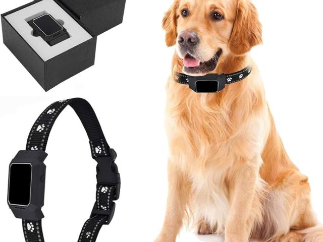 Pet GPS Tracker  price in coimbatore