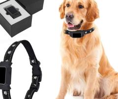 Pet GPS Tracker  price in coimbatore