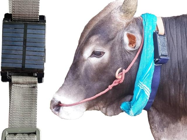 Wireless Jallikattu GPS Tracker – 6000mAh  price in TownHall.